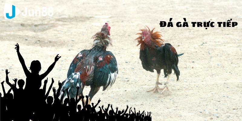 Một số kinh nghiệm khi bạn đặt cược