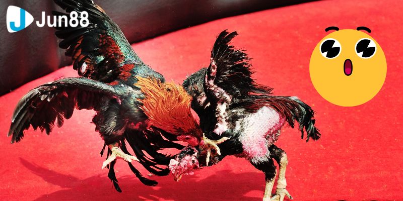 Lưu ý giúp bạn tránh mắc sai lầm khi chơi