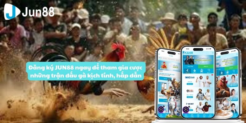 Những lý do mà bạn nên xem đá gà trực tiếp