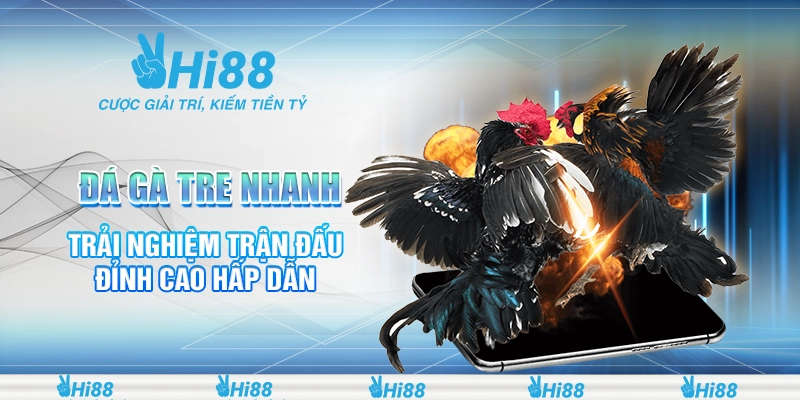 Đá Gà Tre Nhanh