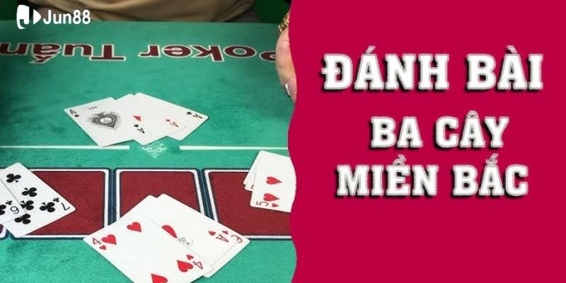 quan-sat-ky-doi-thu-meo-choi-ba-cay