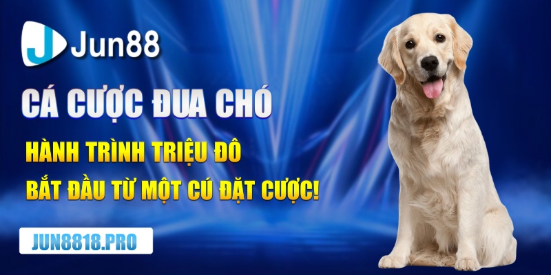 Cá cược đua chó