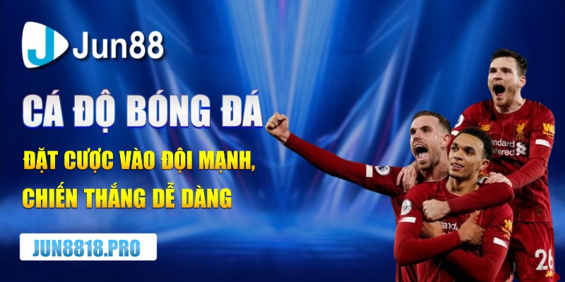 cá độ bóng đá