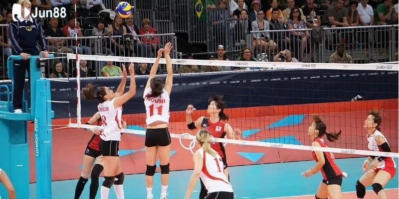 Các nguồn tham khảo kinh nghiệm cược bóng chuyền ở Jun88