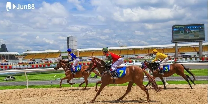 Cần sử dụng mẹo thắng đua ngựa trong giải đấu lớn