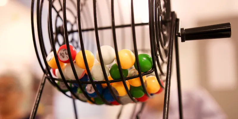 Giới thiệu về lô gan miền nam