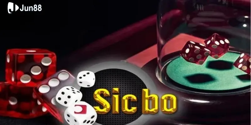 cac-loai-cuoc-pho-bien-trong-cach-choi-sicbo-xuc-xac