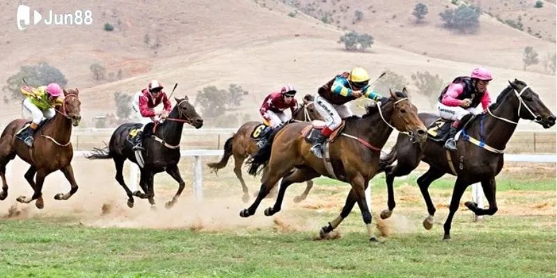 Mẹo thắng đua ngựa là học hỏi từ chuyên gia