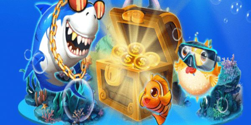 Các loại cá và phần thưởng chúng mang lại