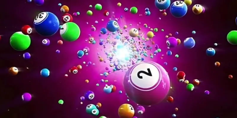 Thông tin quan trọng về cách nuôi dàn đề 2 ngày