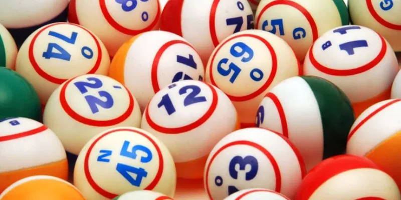 Cách bắt bạch thủ lô nào hiệu quả nhất là gì?