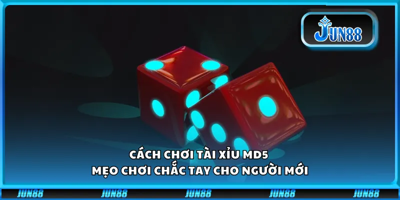 Cách chơi Tài Xỉu MD5 – Mẹo chơi chắc tay cho người mới