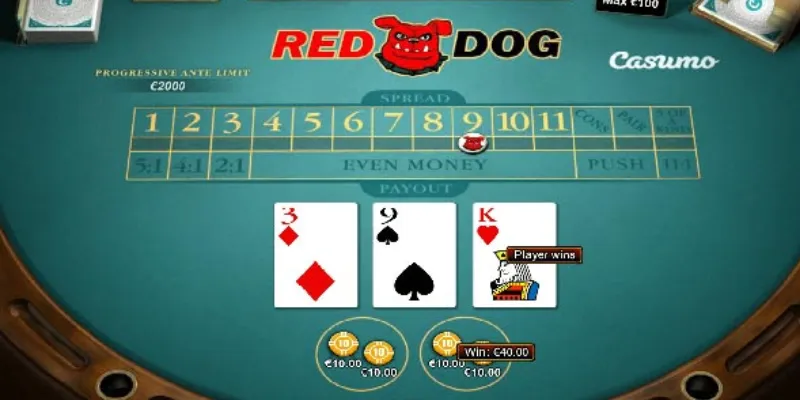 Phân tích các kiểu cược và mức trả thưởng trong Red Dog