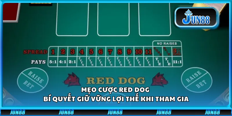Mẹo cược Red Dog - Bí quyết giữ vững lợi thế khi tham gia